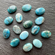Apatite du Brésil Ovale 14x10mm